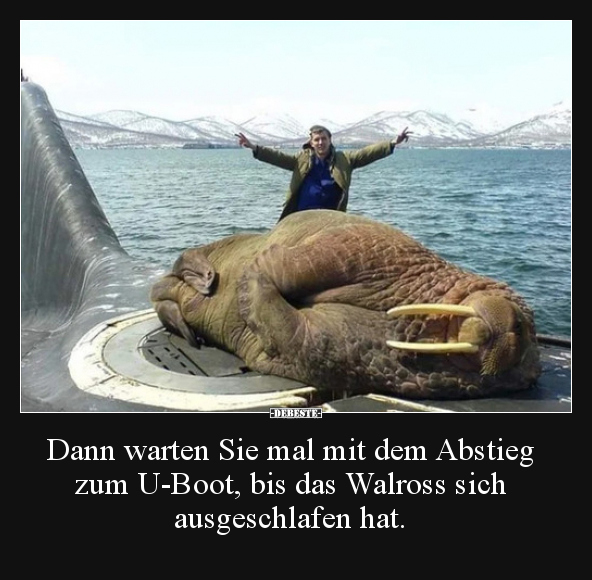 Dann warten Sie mal mit dem Abstieg zum U-Boot, bis das.. - Lustige Bilder | DEBESTE.de