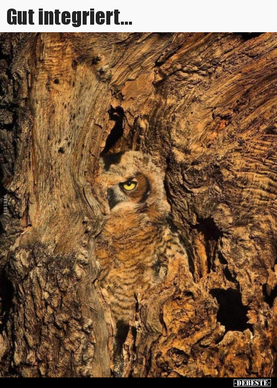 Gut integriert...