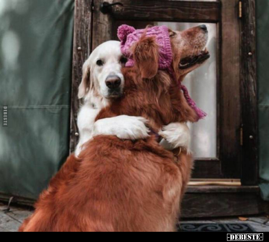  - Lustige Bilder | DEBESTE.de