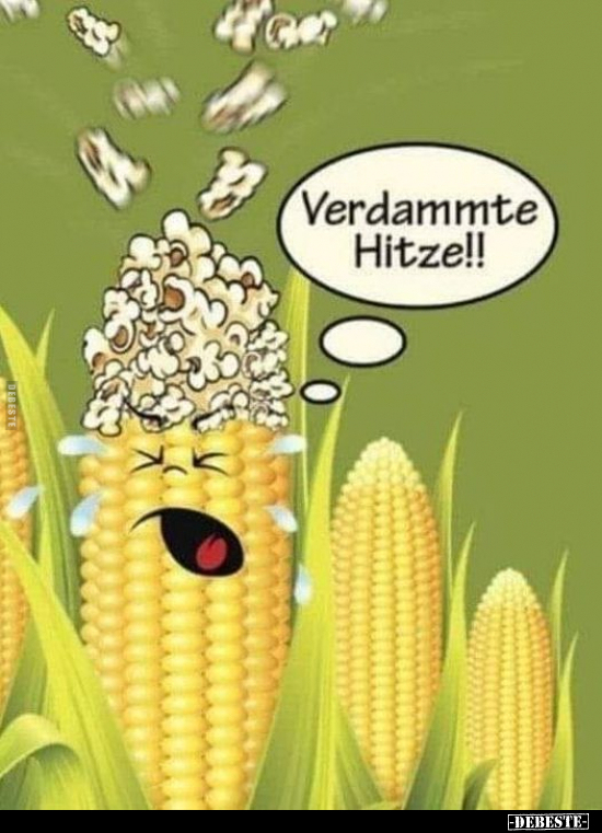 Verdammte Hitze!!.. - Lustige Bilder | DEBESTE.de