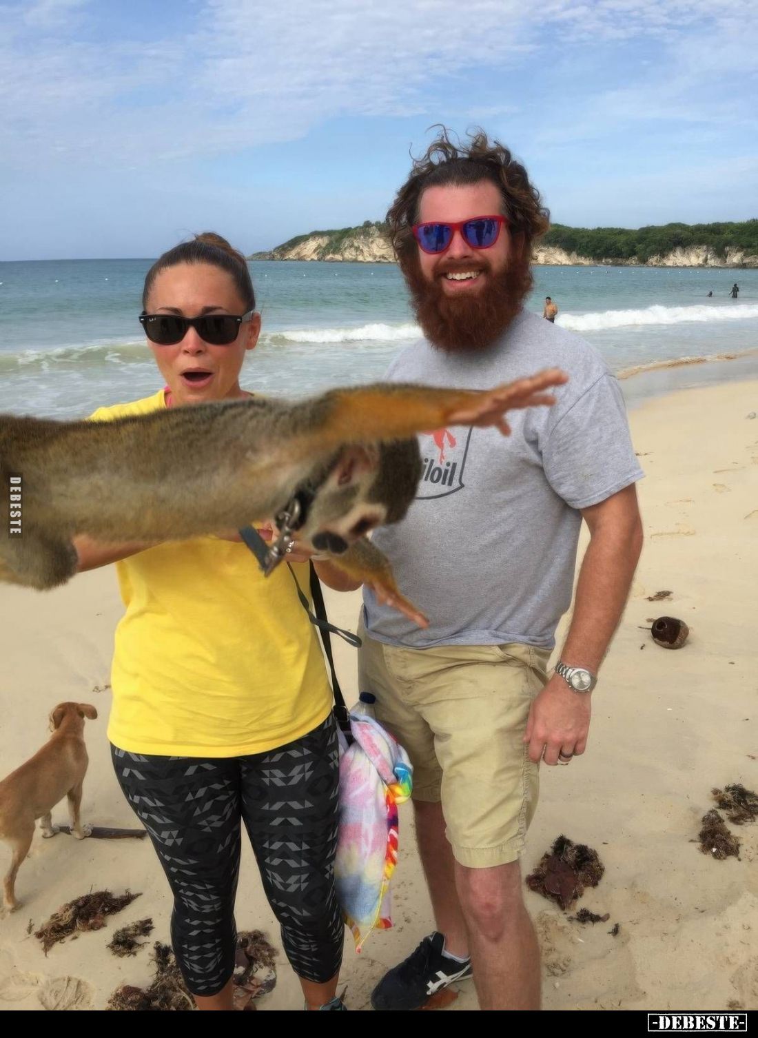  - Lustige Bilder | DEBESTE.de