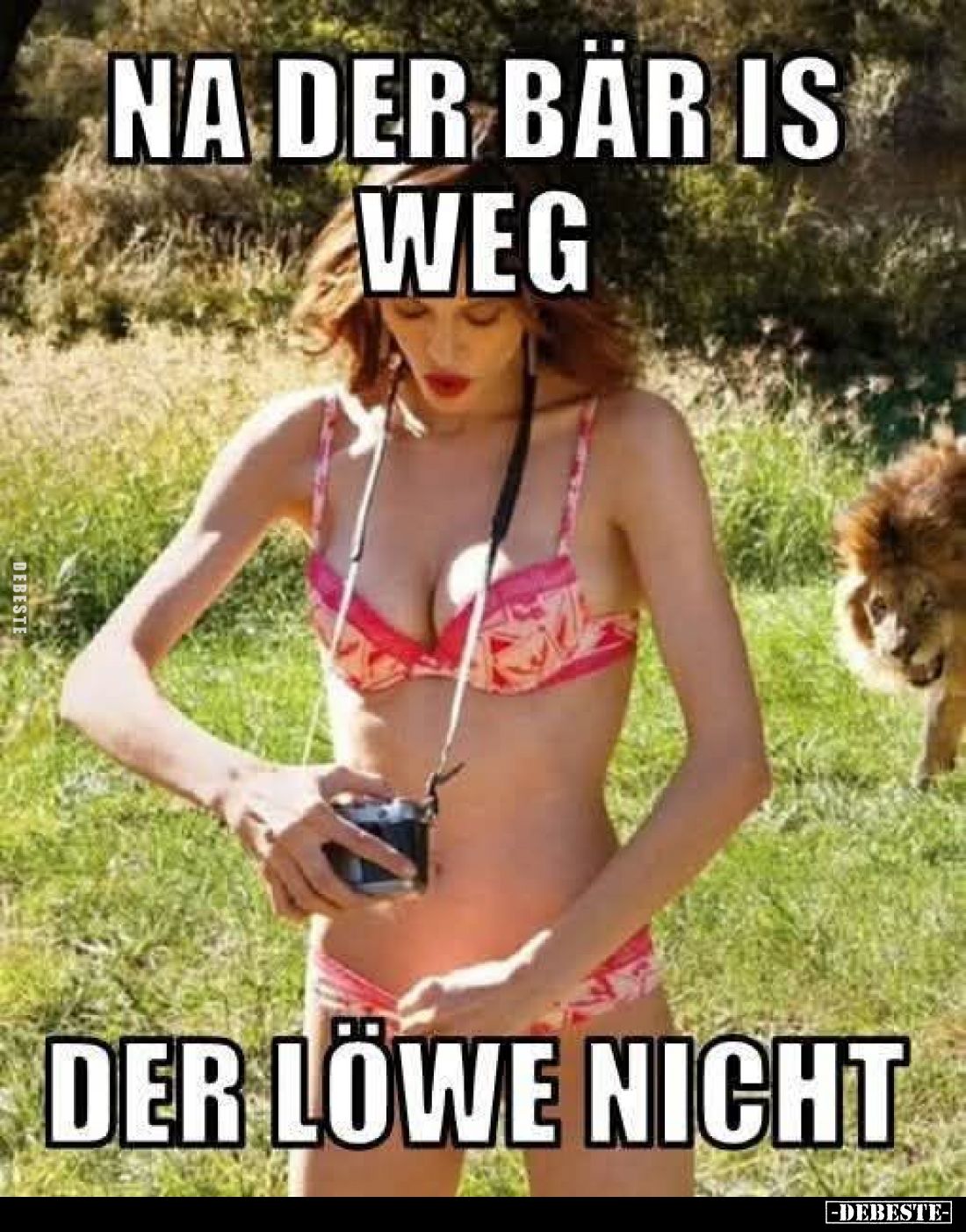 Na der Bär is weg, der Löwe nicht