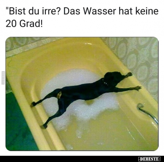 "Bist du irre? Das Wasser hat keine 20 Grad!".. - Lustige Bilder | DEBESTE.de