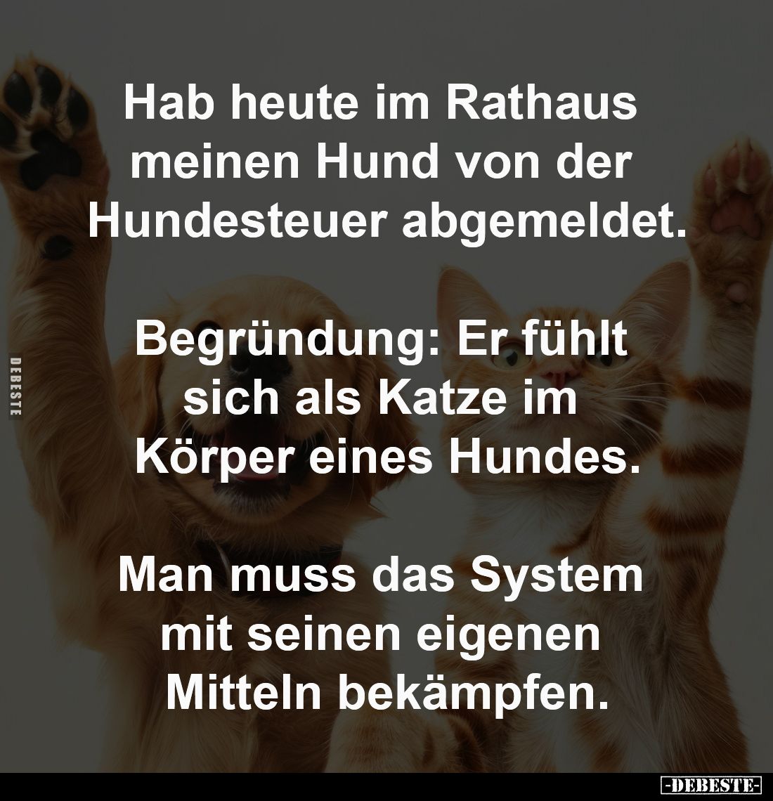 Hab heute im Rathaus meinen Hund... - Lustige Bilder | DEBESTE.de