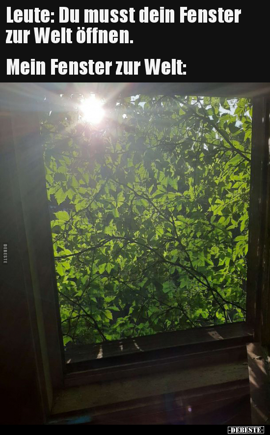 Leute: Du musst dein Fenster zur Welt öffnen...