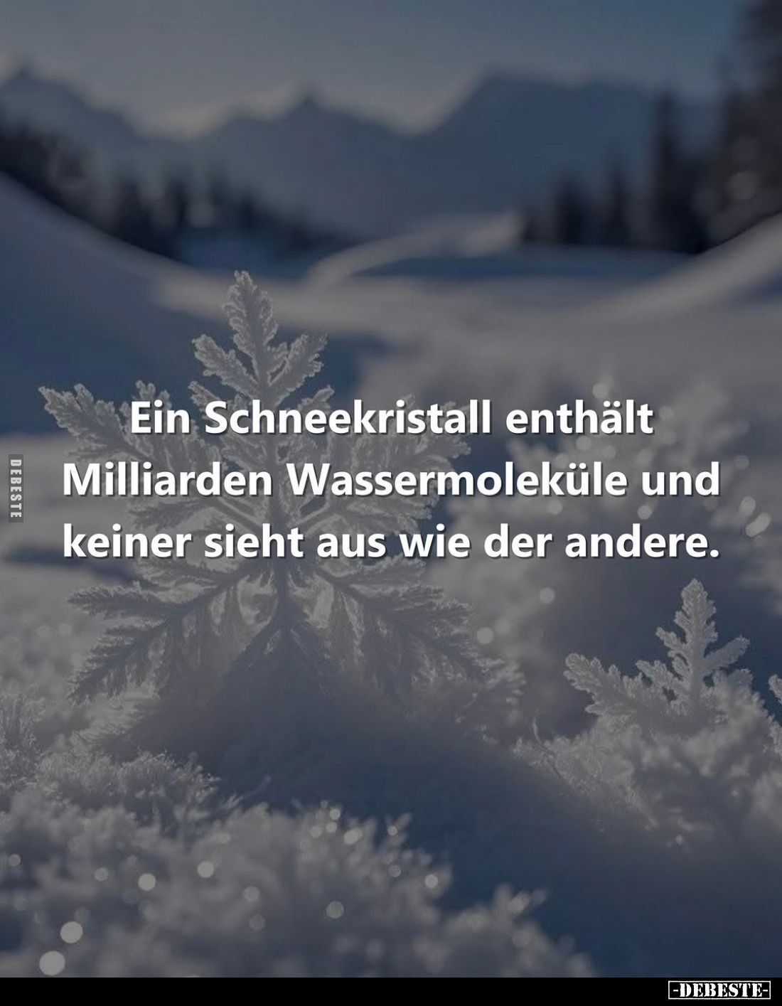 Ein Schneekristall enthält Milliarden Wassermoleküle und keiner sieht aus wie der andere.