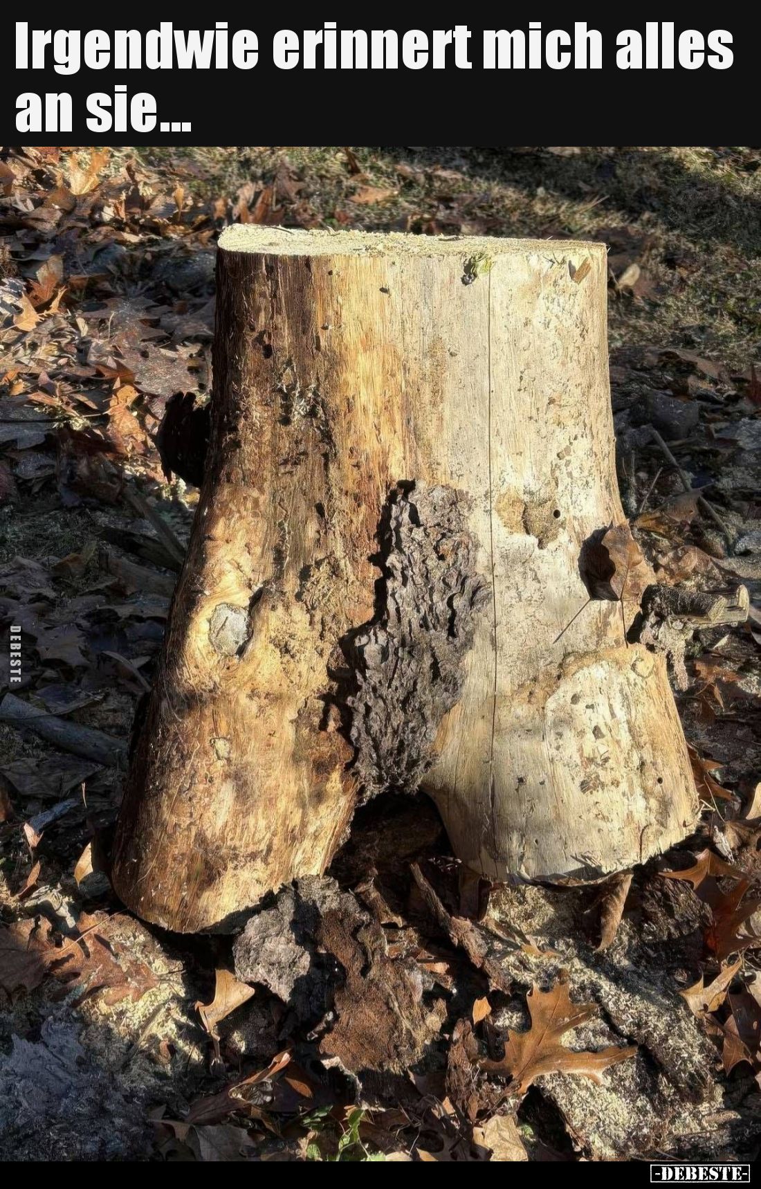 Irgendwie erinnert mich alles an sie... - Lustige Bilder | DEBESTE.de