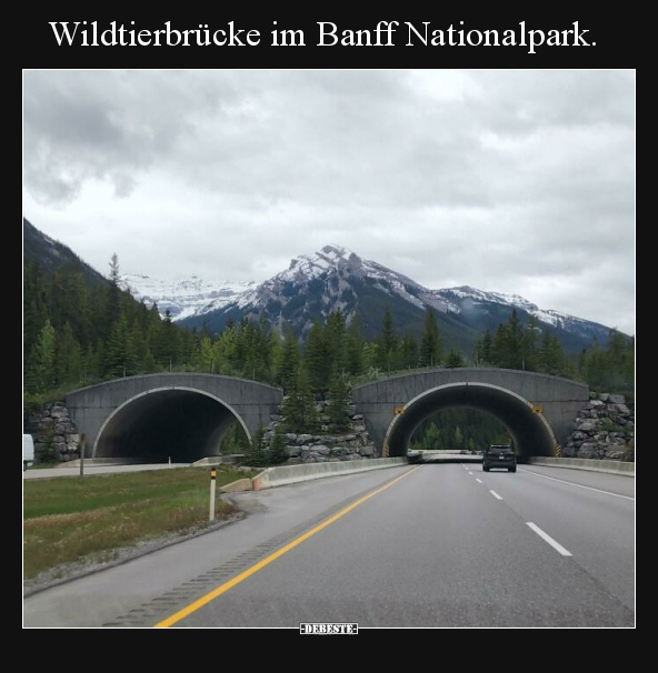 Wildtierbrücke im Banff Nationalpark... - Lustige Bilder | DEBESTE.de