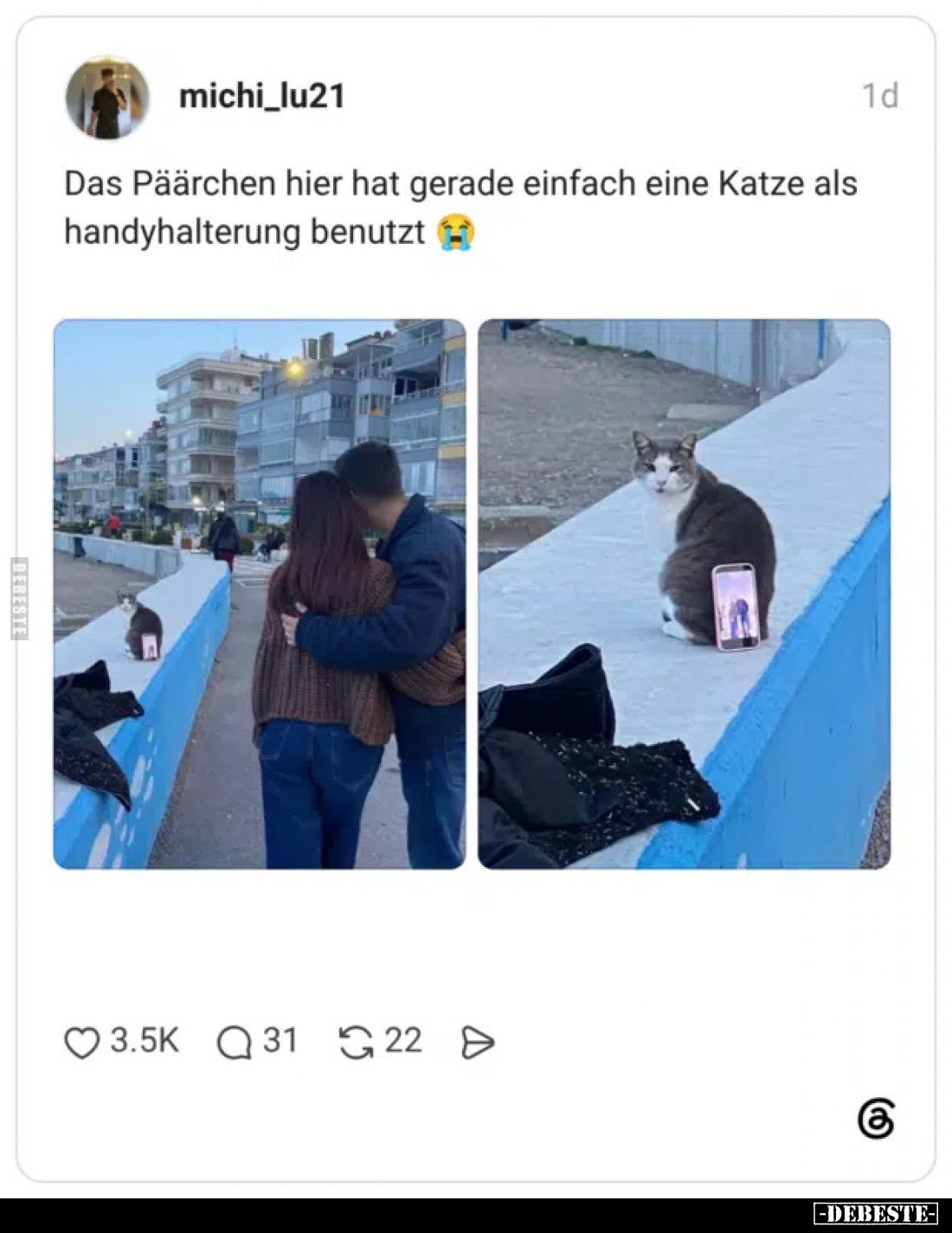 Das Pärchen hier hat gerade einfach eine Katze als handyhalterung benutzt.