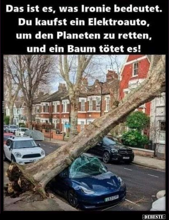 Das ist es, was Ironie bedeutet.. - Lustige Bilder | DEBESTE.de