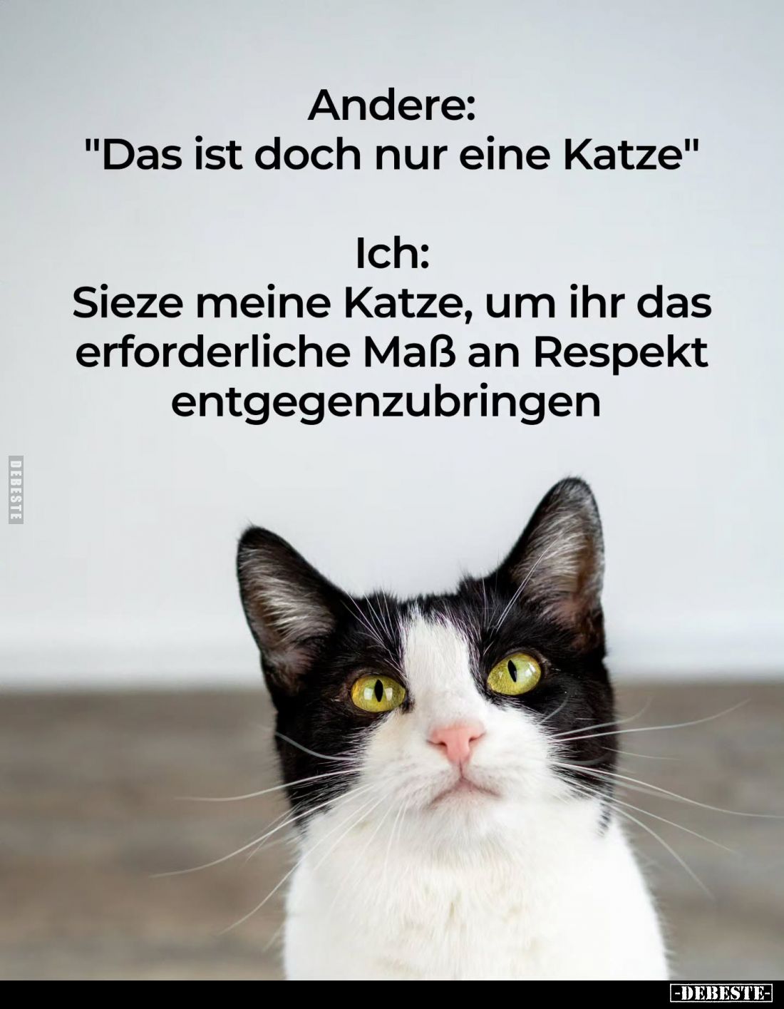 Andere: "Das ist doch nur eine Katze." -
Ich:
Sieze meine Katze, um ihr das erforderliche Maß an Respekt entgegen...