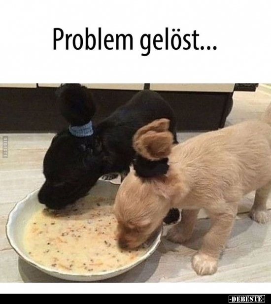 Problem gelöst... - Lustige Bilder | DEBESTE.de