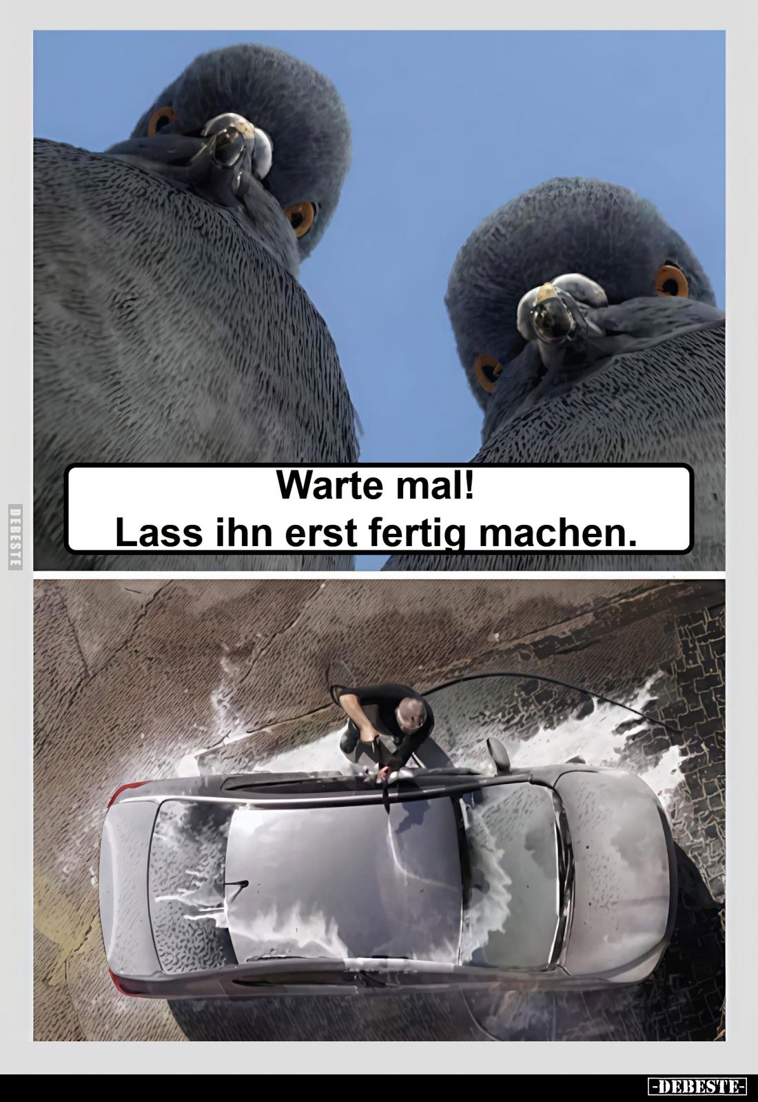 Warte mal!
Lass ihn erst fertig machen.