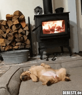 So lässt es sich aushalten..