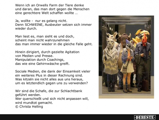  - Lustige Bilder | DEBESTE.de