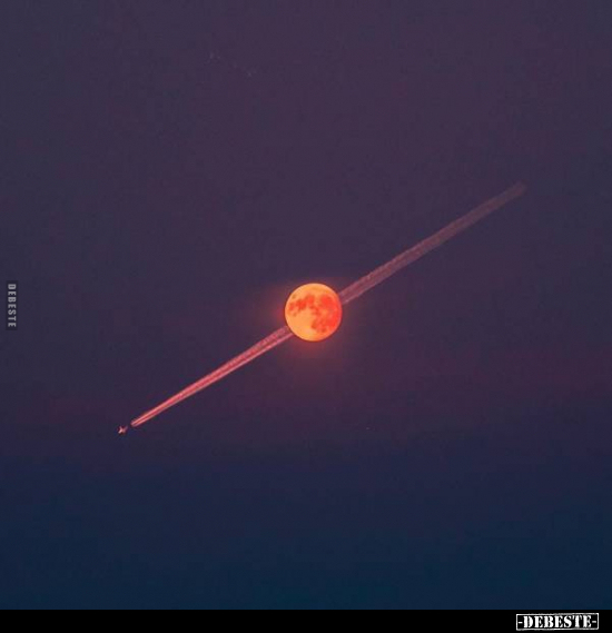  - Lustige Bilder | DEBESTE.de