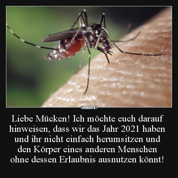 Liebe Mücken! Ich möchte euch darauf hinweisen, dass wir..
