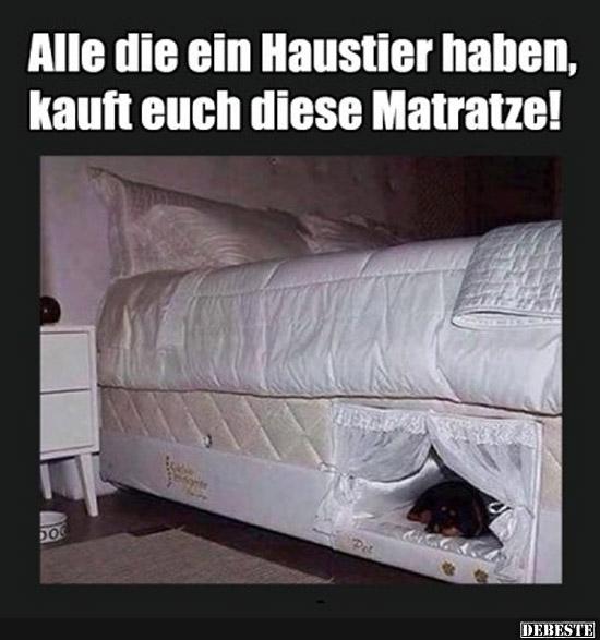 Alle die ein Haustier haben, kauft euch diese Matratze! - Lustige Bilder | DEBESTE.de