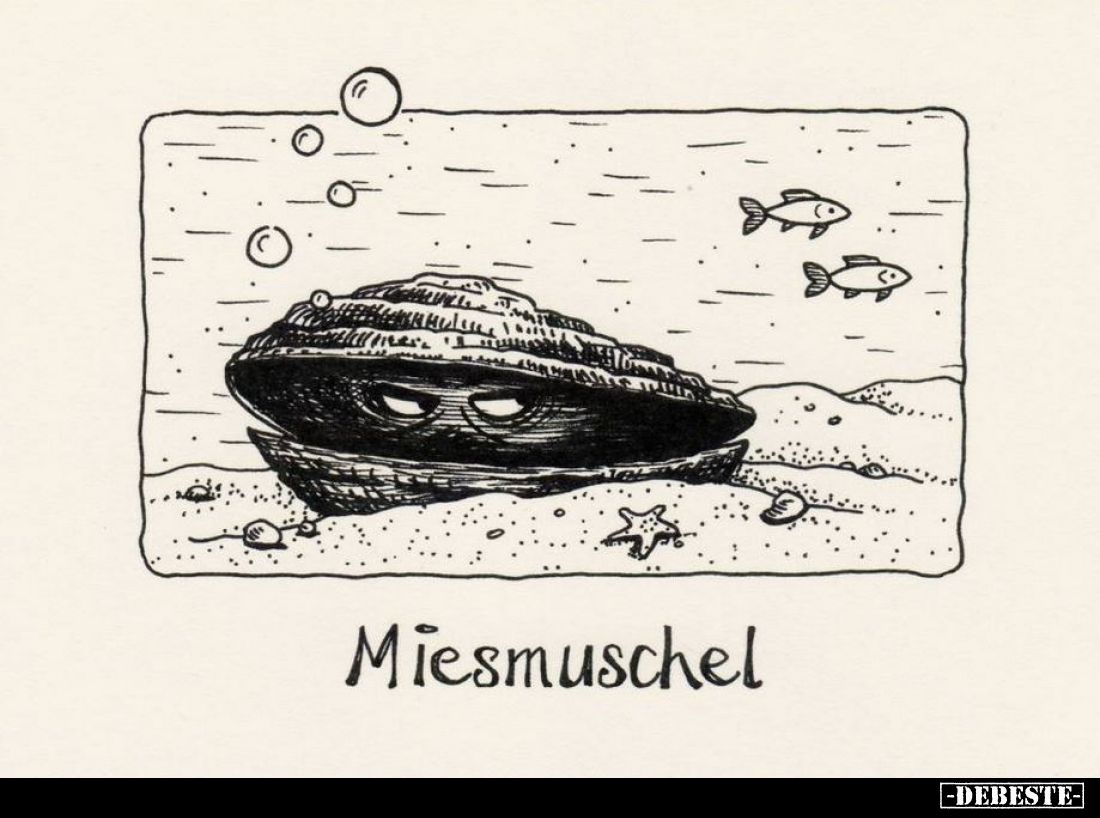 Miesmuschel.