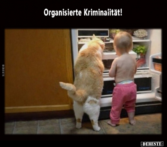 Organisierte Kriminalität!.. - Lustige Bilder | DEBESTE.de