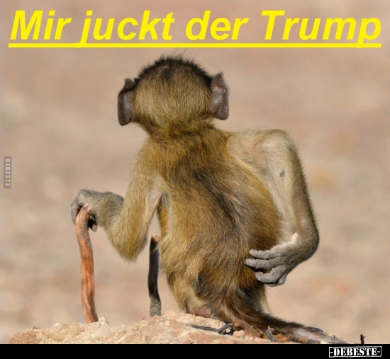 Mir juckt der Trump.. - Lustige Bilder | DEBESTE.de