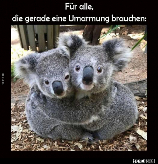 Für alle, die gerade eine Umarmung brauchen.. - Lustige Bilder | DEBESTE.de