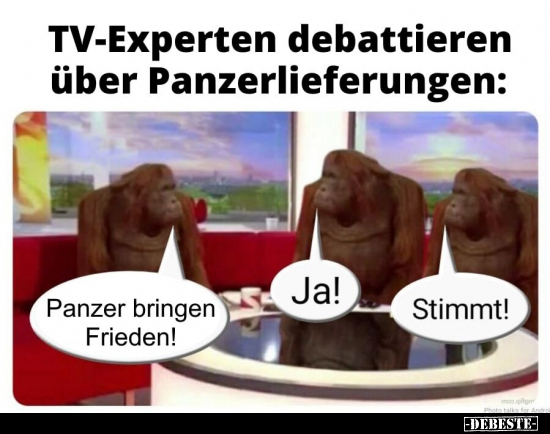 TV-Experten debattieren über Panzerlieferungen.. - Lustige Bilder | DEBESTE.de