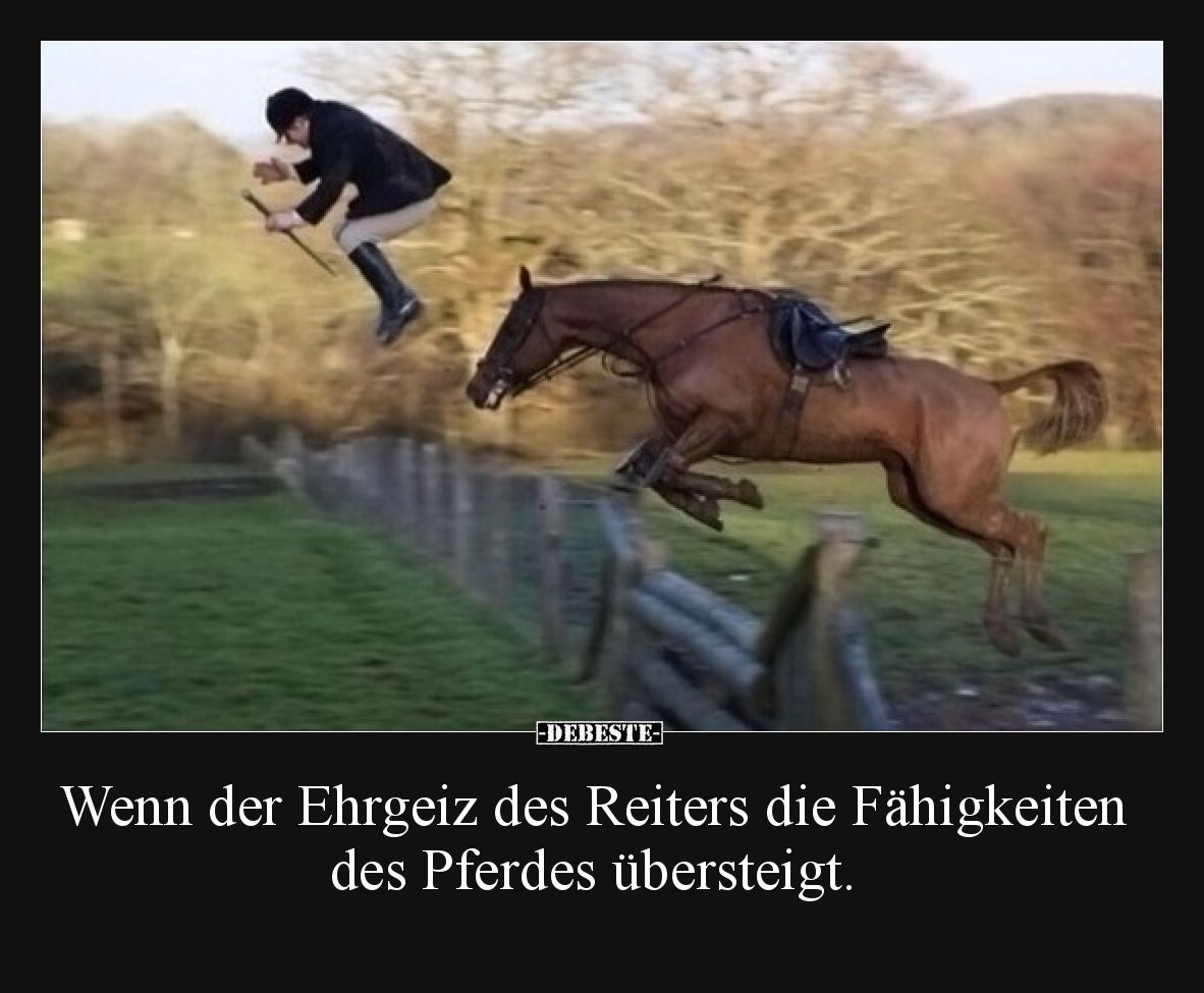 Wenn der Ehrgeiz des Reiters die Fähigkeiten des Pferdes.. - Lustige Bilder | DEBESTE.de