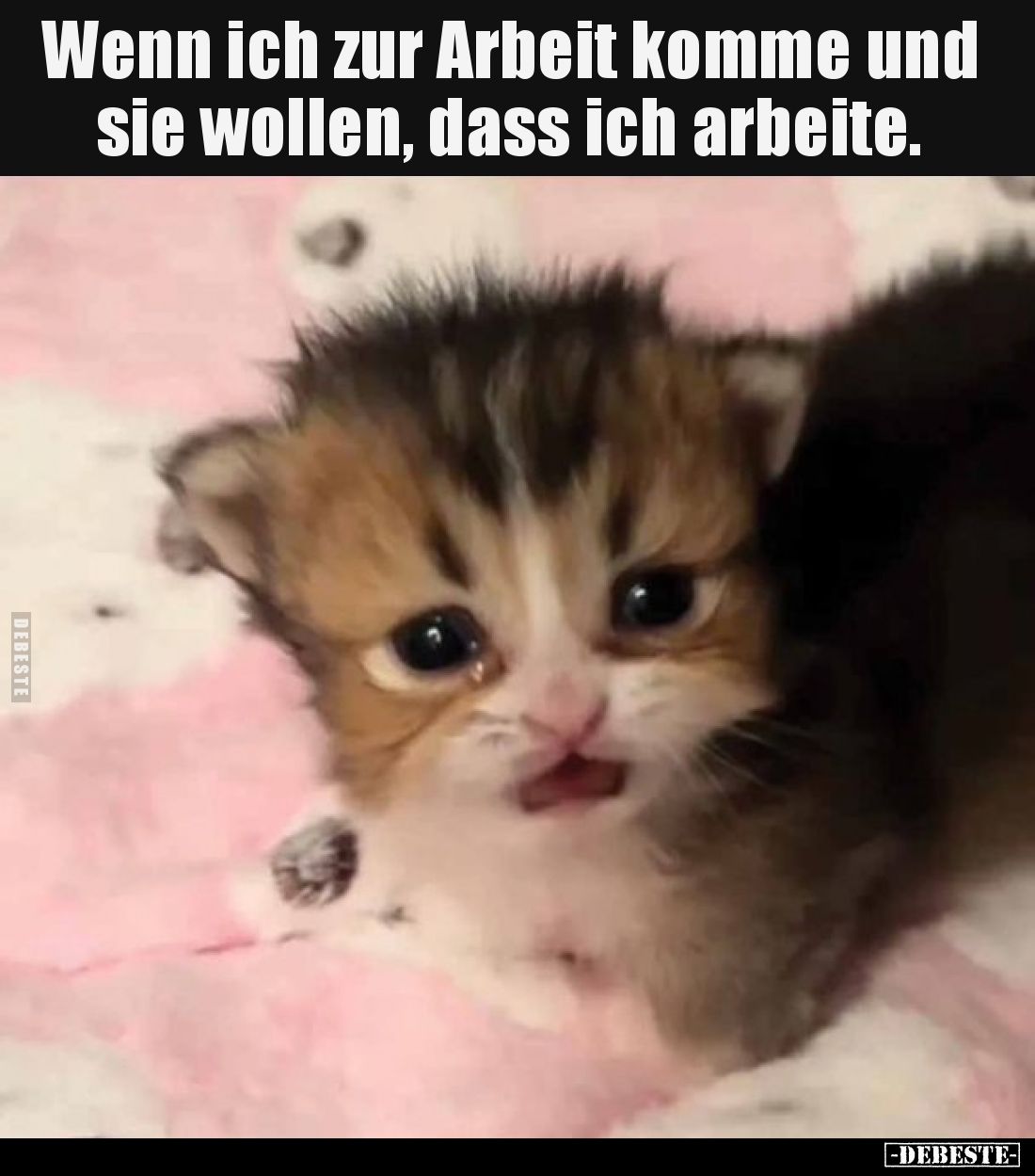Wenn ich zur Arbeit komme und sie wollen, dass ich arbeite.