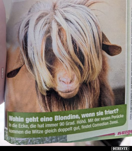 Wohin geht eine Blondine, wenn sie friert?.. - Lustige Bilder | DEBESTE.de