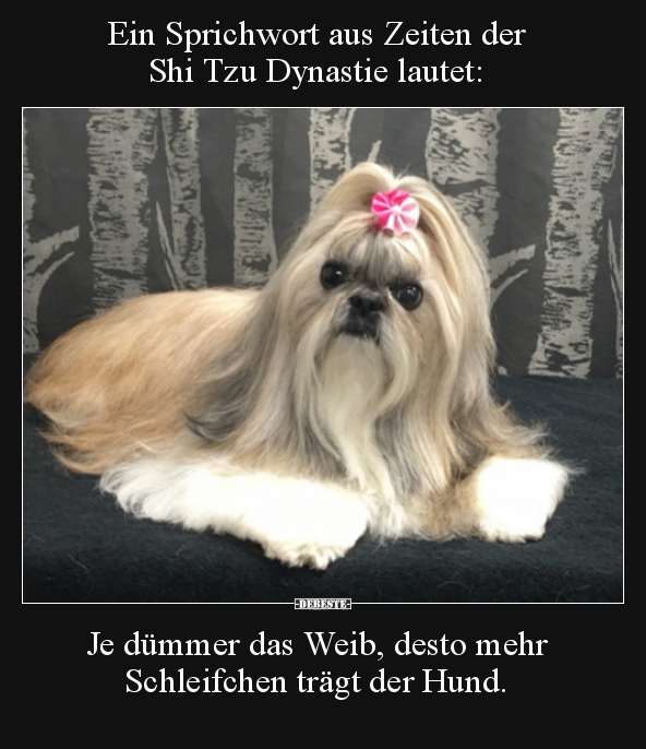 Ein Sprichwort aus Zeiten der Shi Tzu Dynastie lautet..
