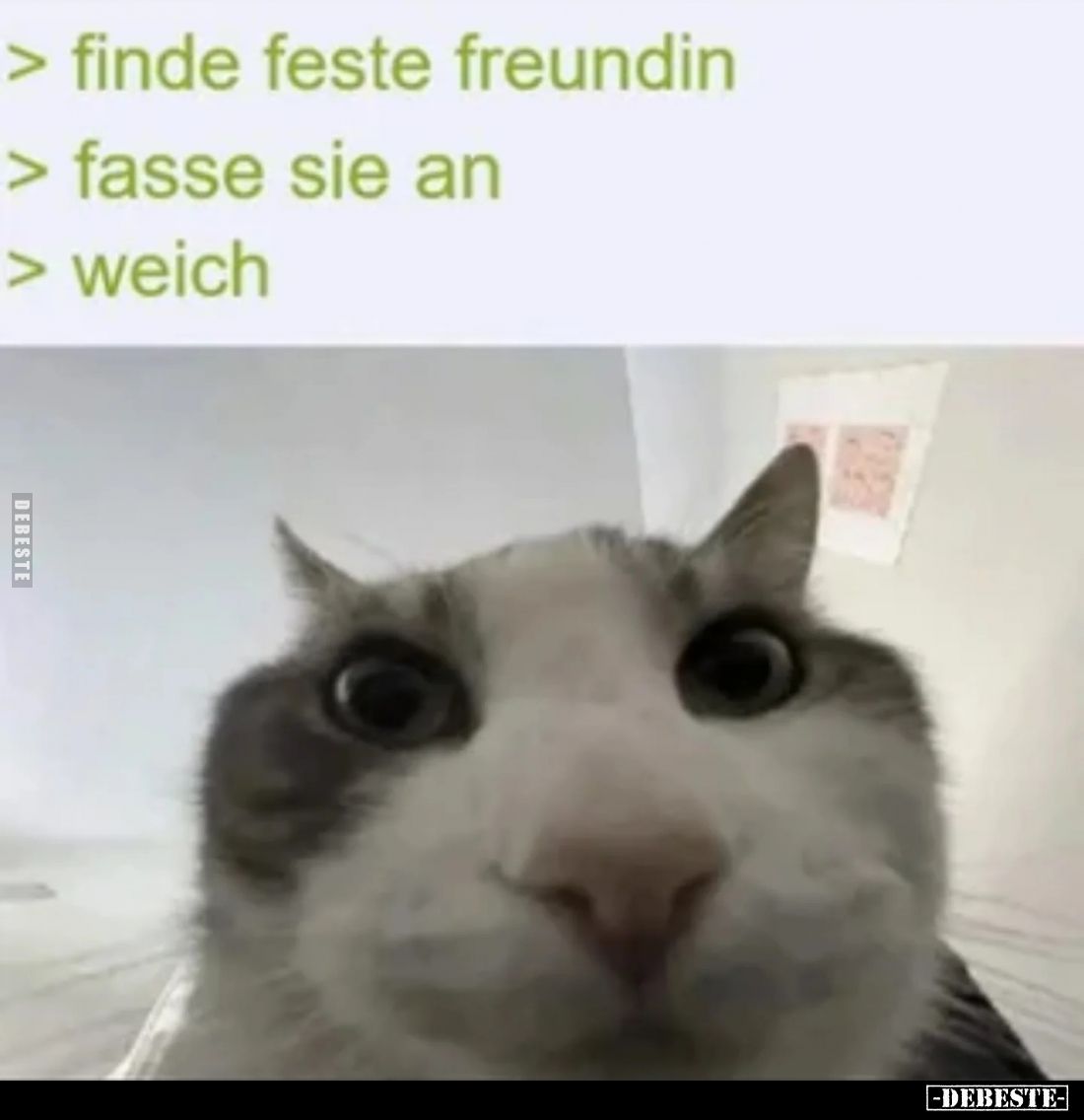 > finde feste Freundin
> fasse sie an
> weich