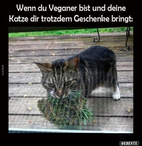 Wenn du Veganer bist und deine Katze dir trotzdem Geschenke.. - Lustige Bilder | DEBESTE.de