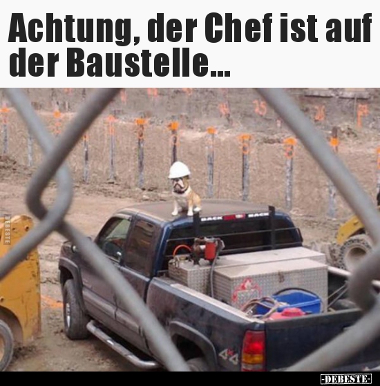 Achtung, der Chef ist auf der Baustelle... - Lustige Bilder | DEBESTE.de