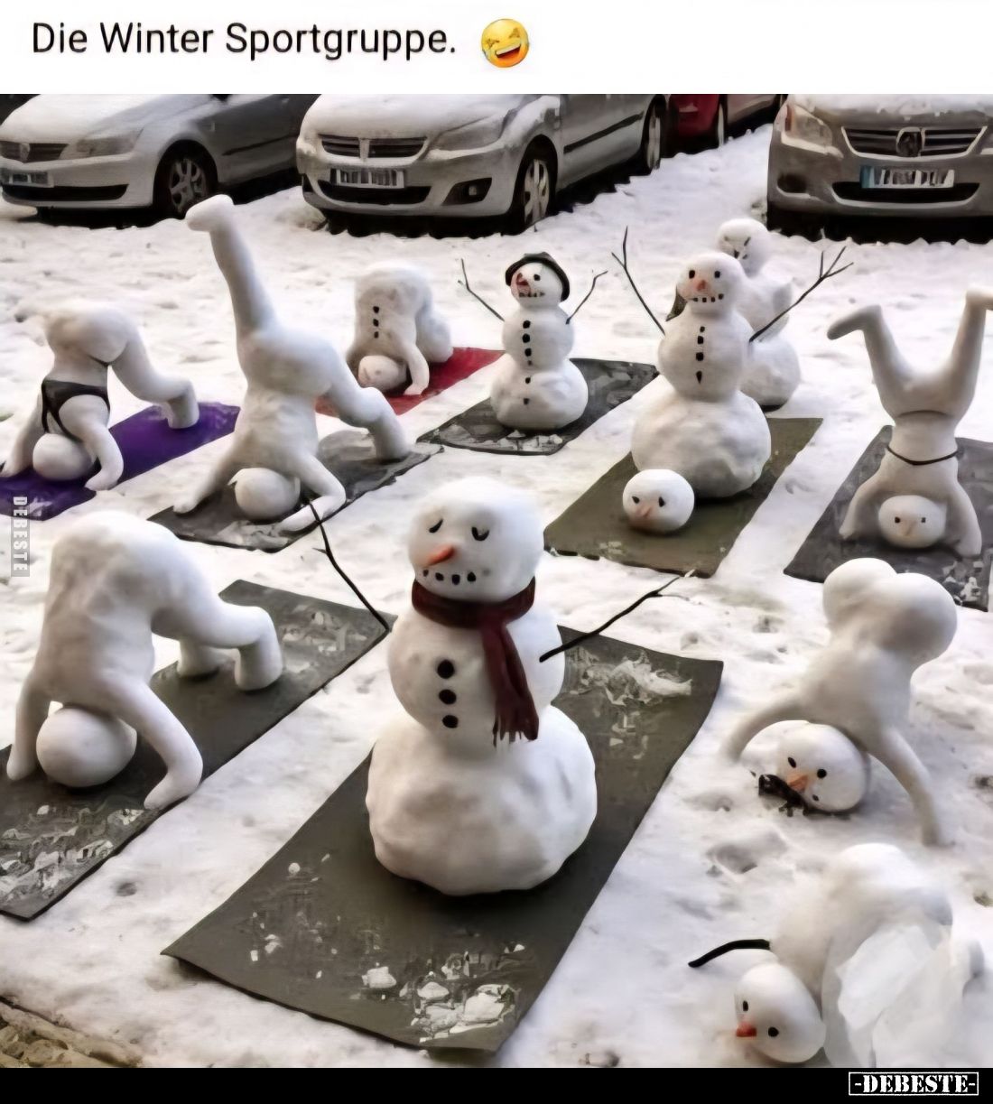 Die Winter Sportgruppe... - Lustige Bilder | DEBESTE.de