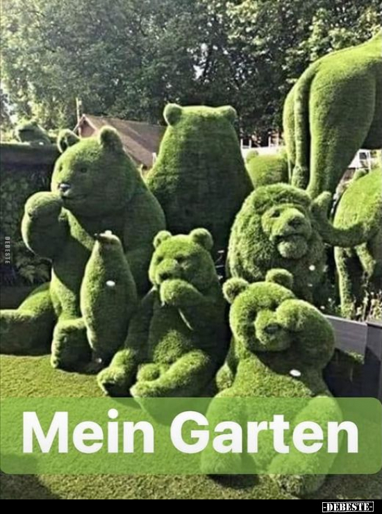 Mein Garten