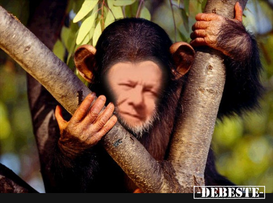  - Lustige Bilder | DEBESTE.de