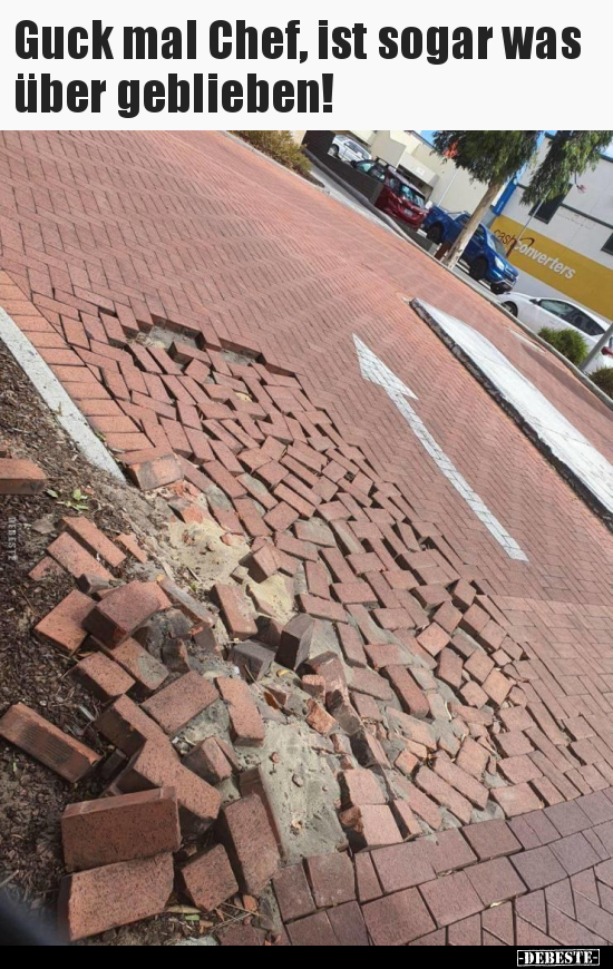 Guck mal Chef, ist sogar was über geblieben!..