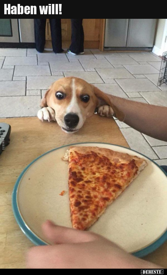 Haben will!..