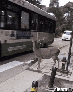 Sollten sich mal andere ein Beispiel nehmen!