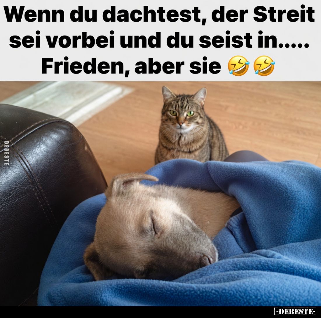 Wenn du dachtest, der Streit sei vorbei und du seist in..... Frieden, aber sie