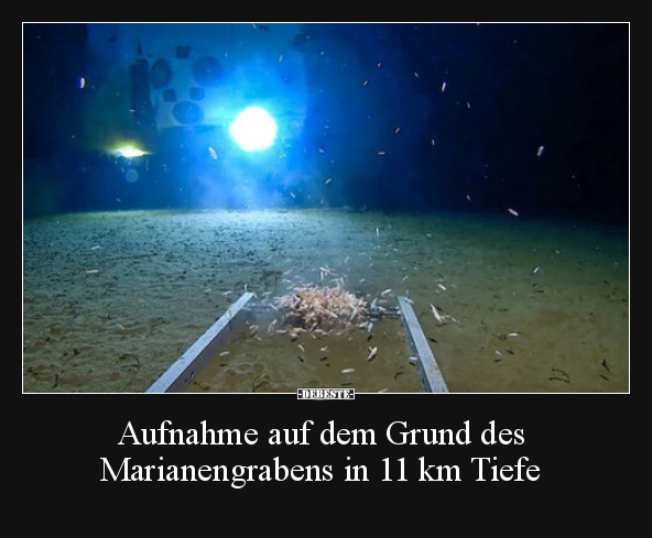 Aufnahme auf dem Grund des Marianengrabens in 11 km Tiefe.. - Lustige Bilder | DEBESTE.de