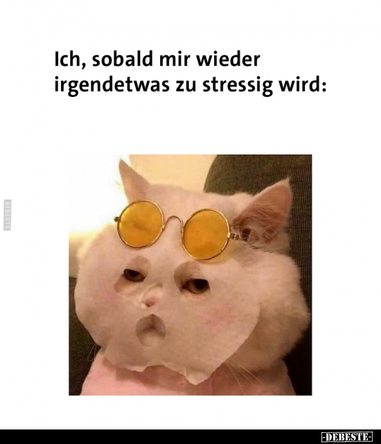 Ich, sobald mir wieder irgendetwas zu stressig wird: