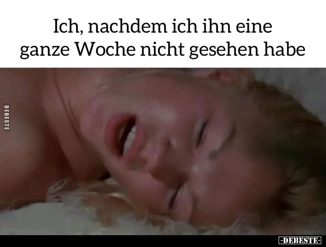 Ich, nachdem ich ihn eine ganze Woche nicht gesehen habe.