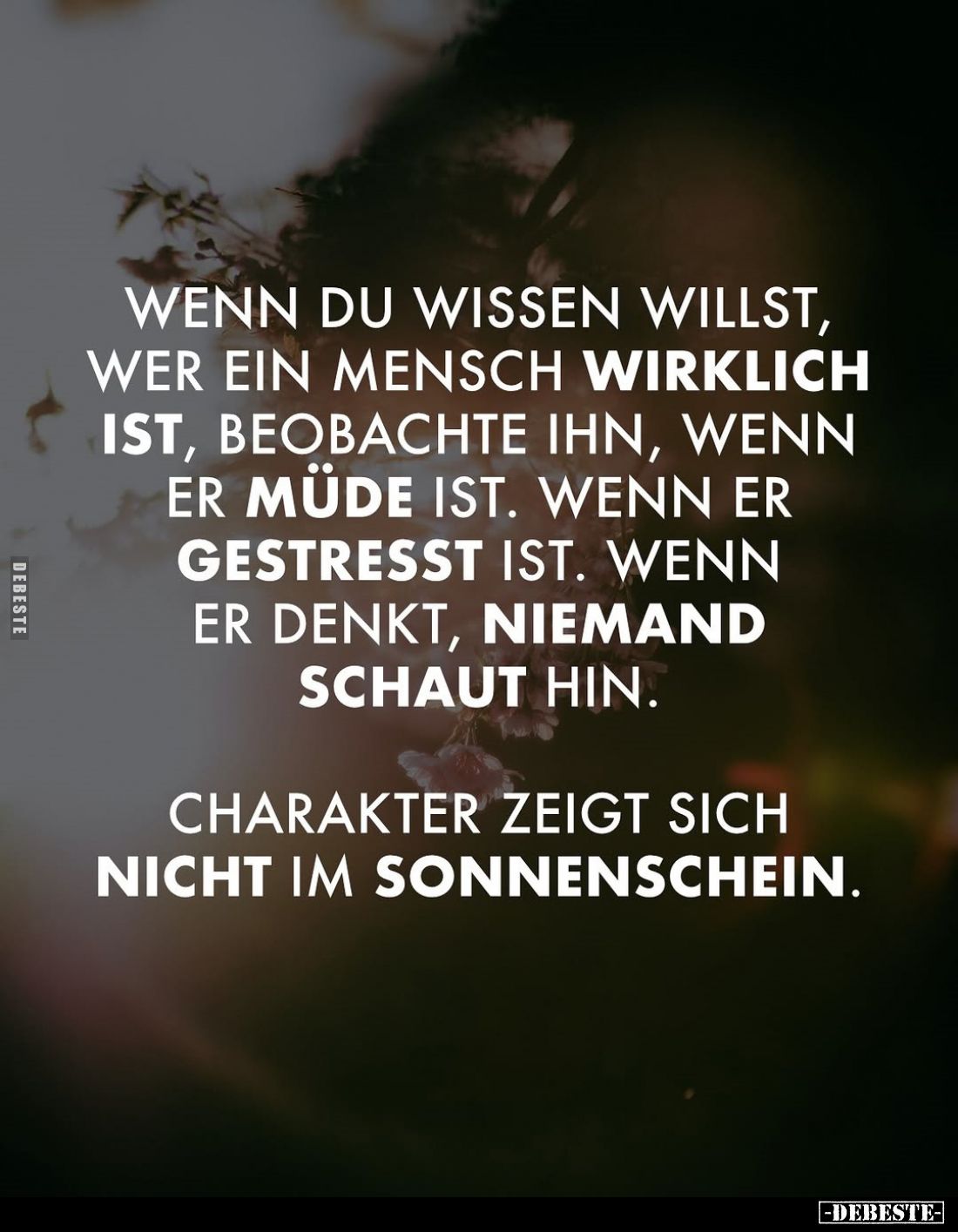 Wenn du wissen willst, wer ein Mensch wirklich ist, beobachte ihn, wenn er müde ist. Wenn er gestresst ist. wenn er denkt, ni...