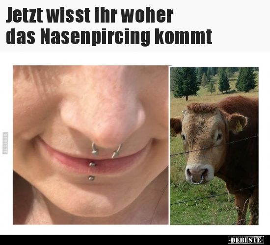 Jetzt wisst ihr woher das Nasenpircing kommt.. - Lustige Bilder | DEBESTE.de