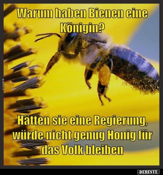 Warum haben Bienen eine Königin?.. - Lustige Bilder | DEBESTE.de