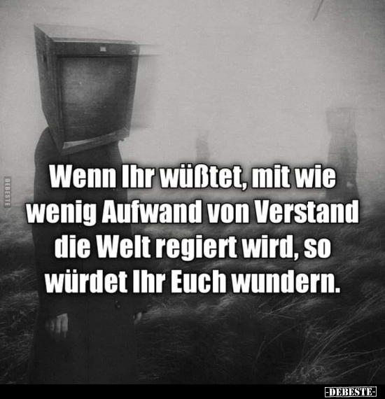 Wenn Ihr wüßtet, mit wie wenig Aufwand von Verstand die Welt regiert wird, so würdet Ihr Euch wundern.