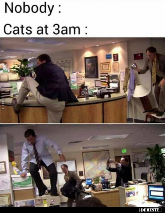  - Lustige Bilder | DEBESTE.de