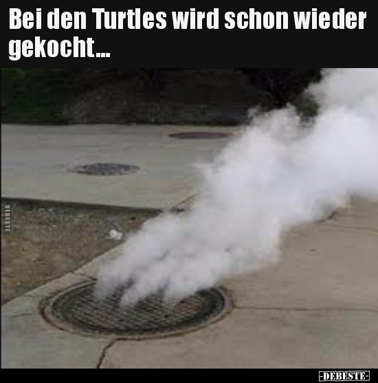 Bei den Turtles wird schon wieder gekocht... - Lustige Bilder | DEBESTE.de